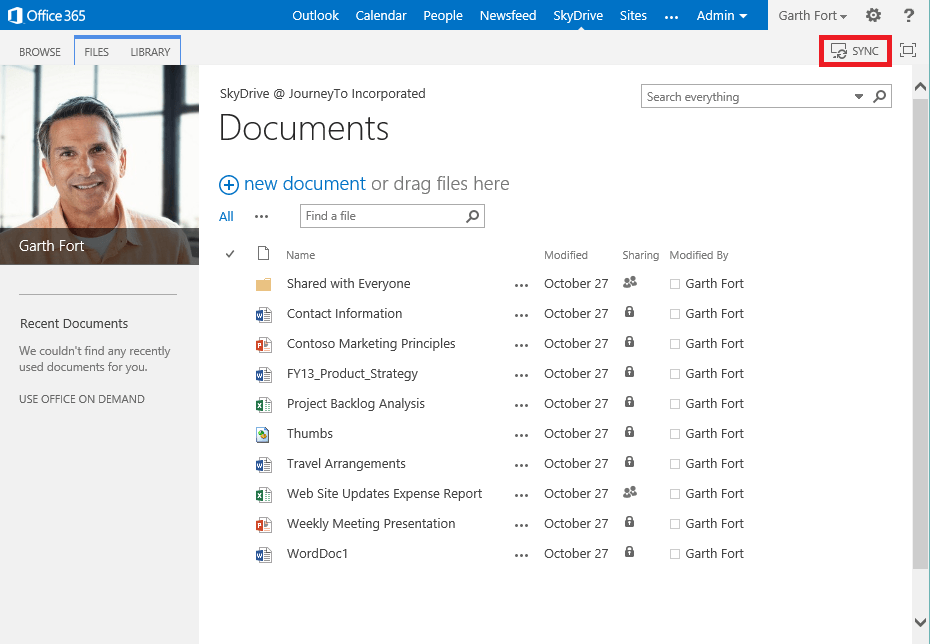 Microsoft Office 365 SkyDrive
